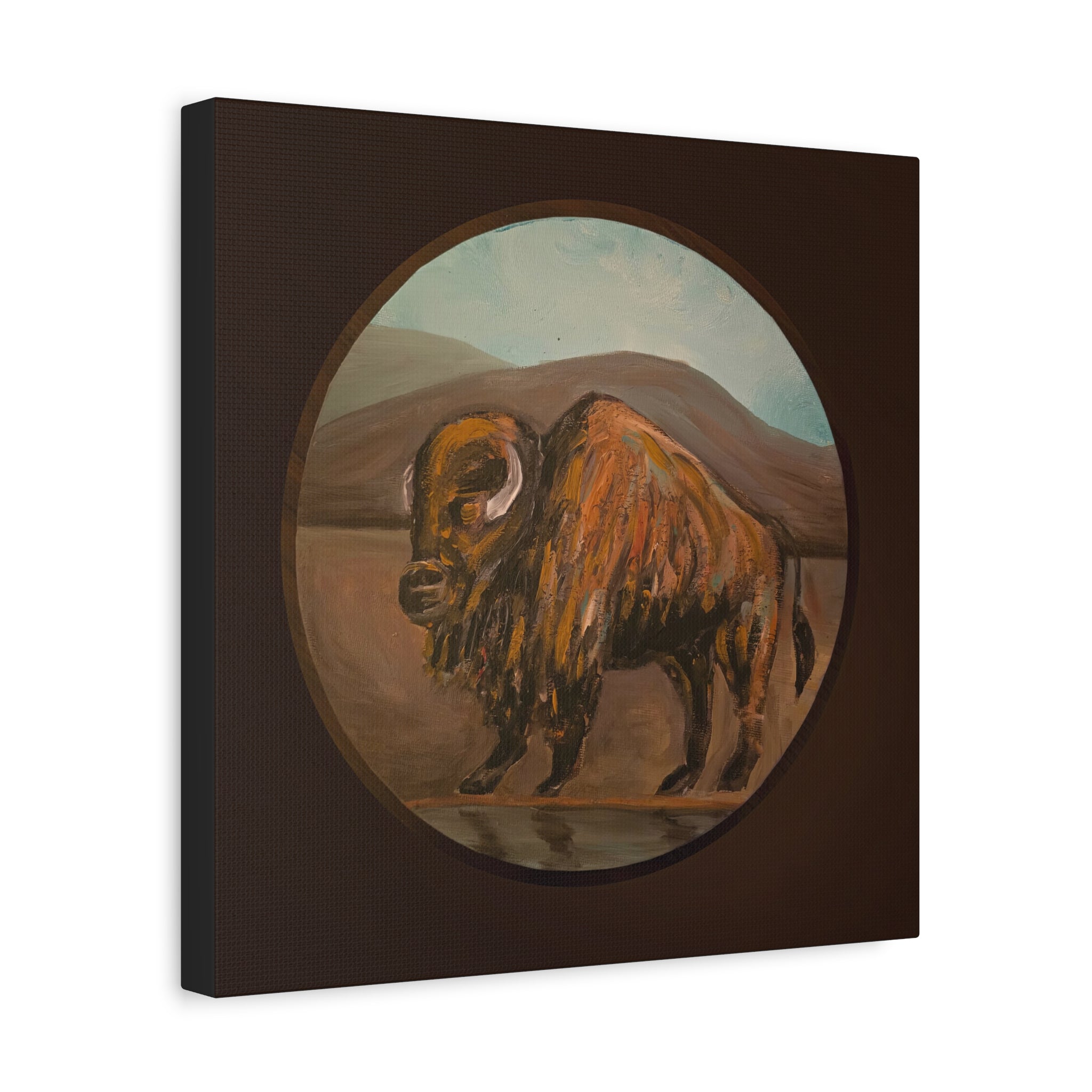 on the range / Buffalo Canvas Print