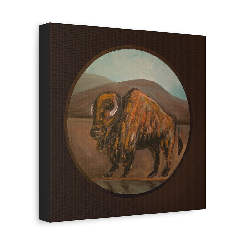 on the range / Buffalo Canvas Print