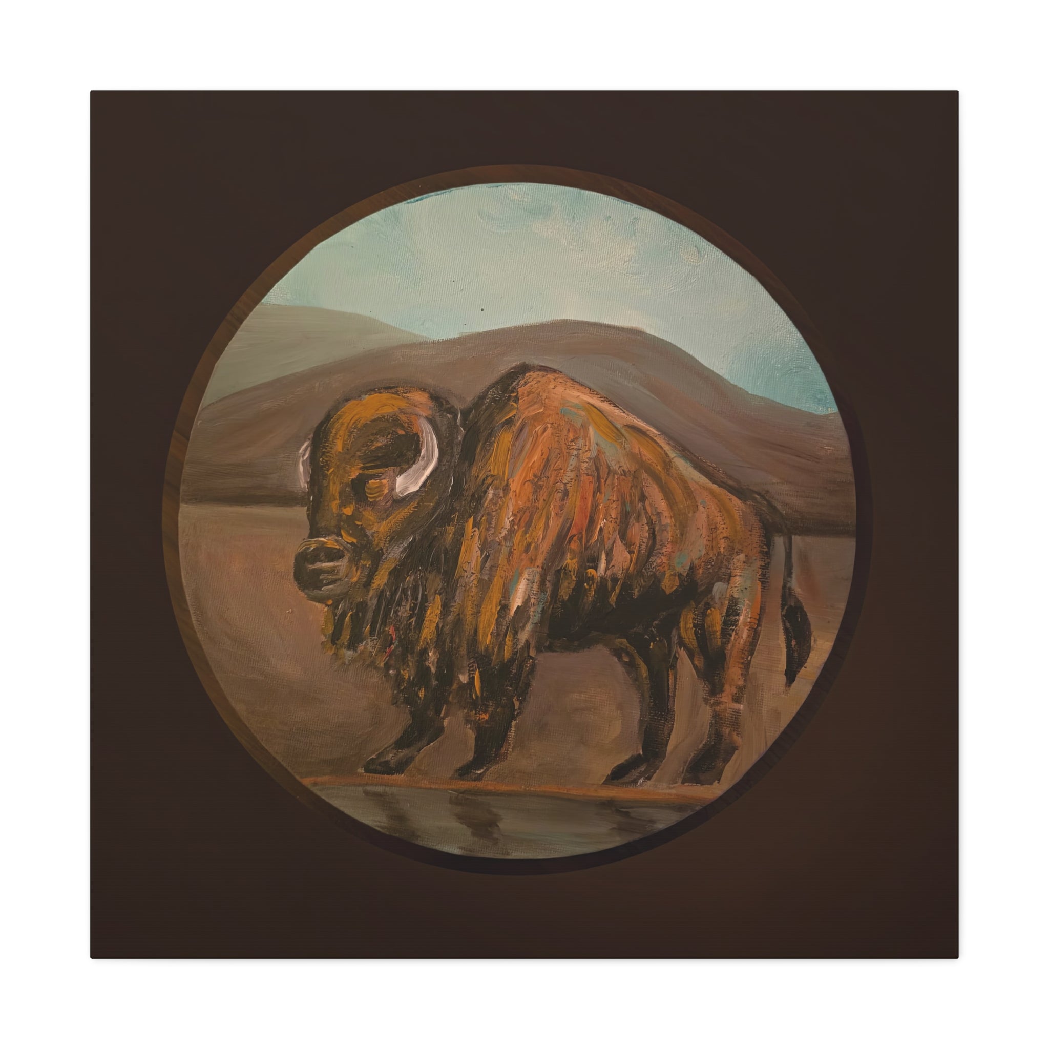 on the range / Buffalo Canvas Print