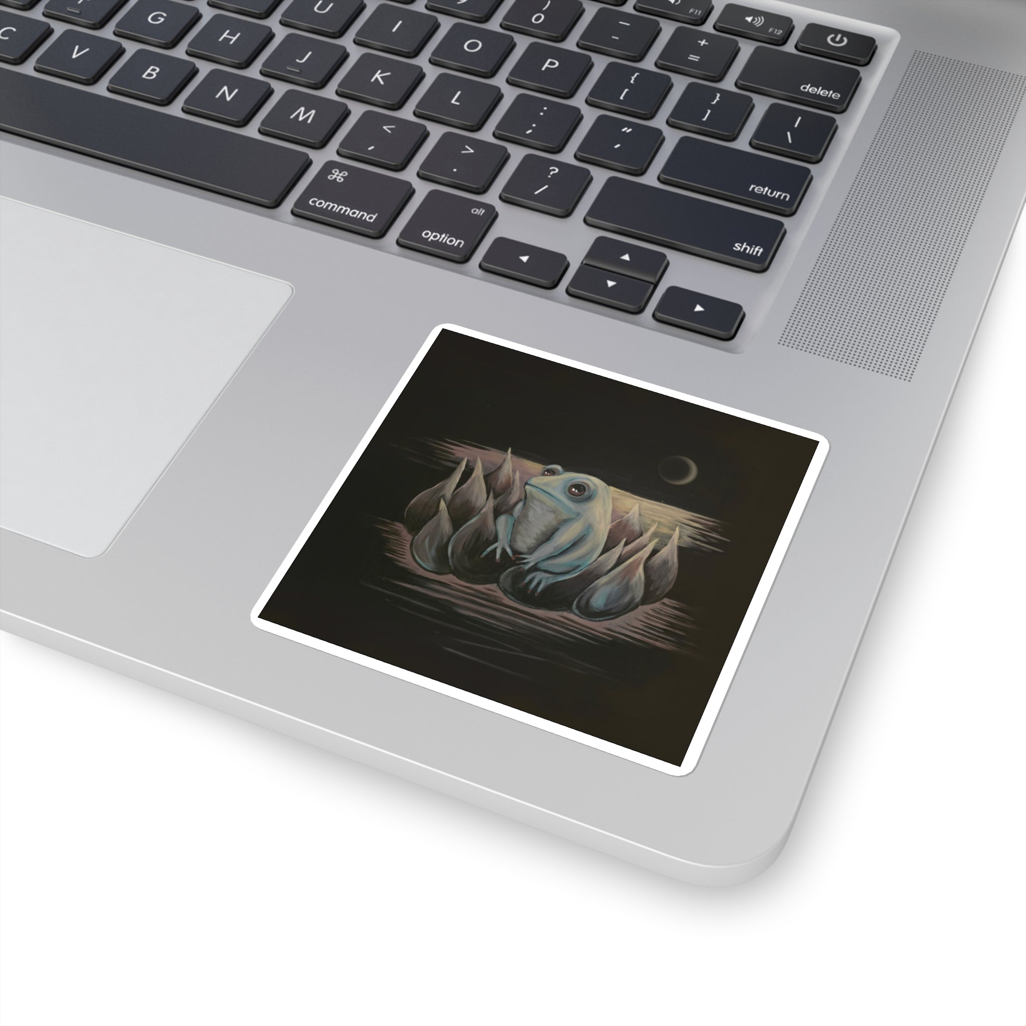 Frog on Lotus Square Sticker — Cute Nighttime Amphibian Art