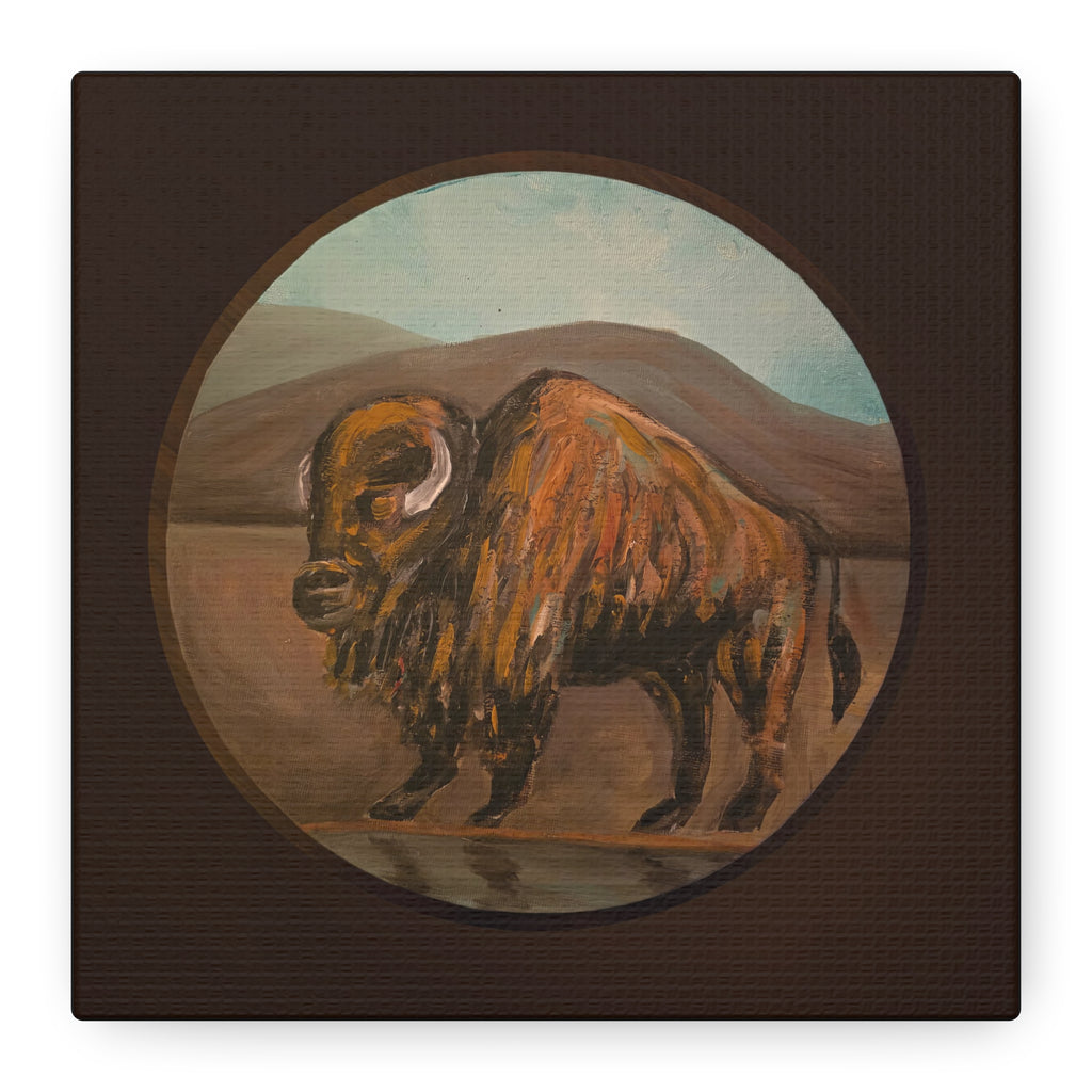 on the range / Buffalo Canvas Print