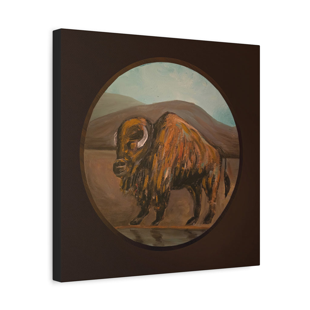 on the range / Buffalo Canvas Print