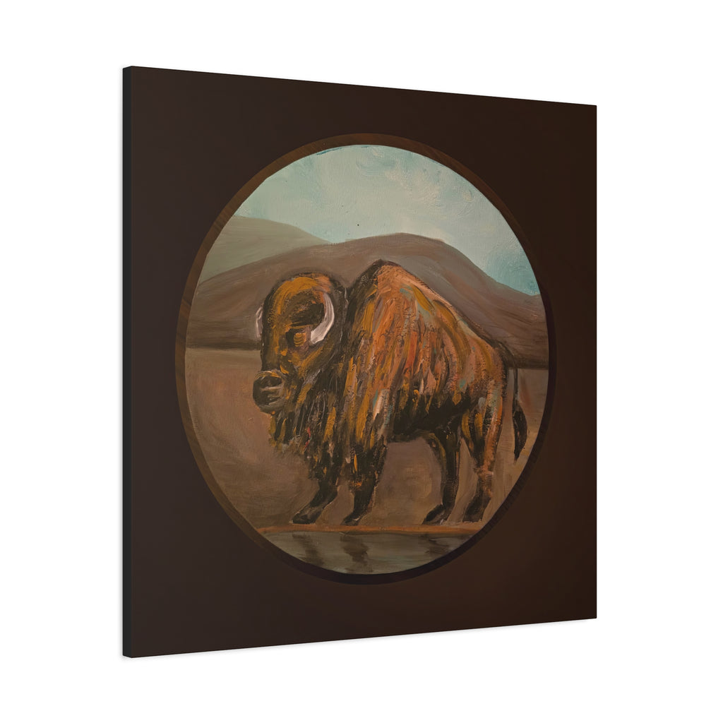 on the range / Buffalo Canvas Print