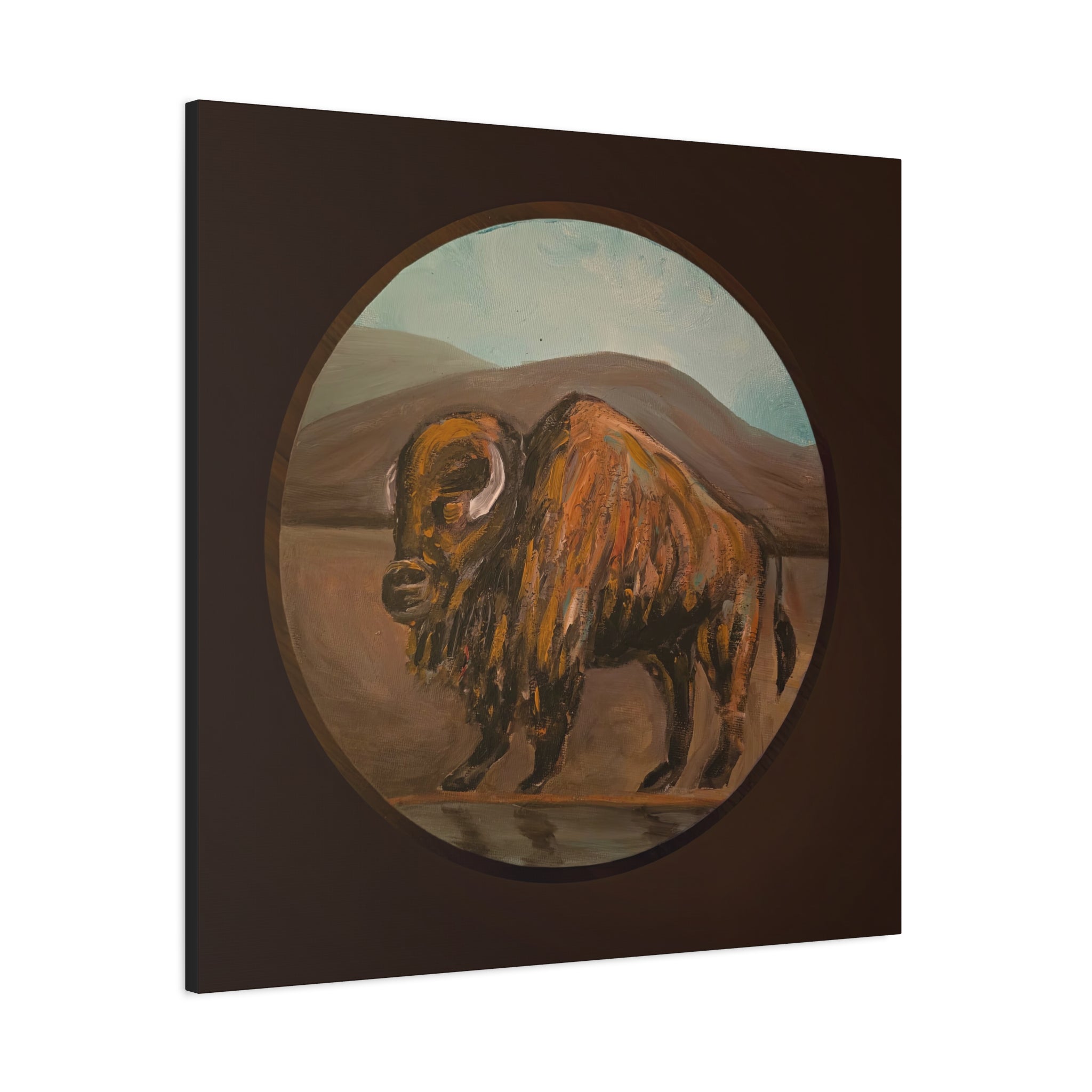 on the range / Buffalo Canvas Print