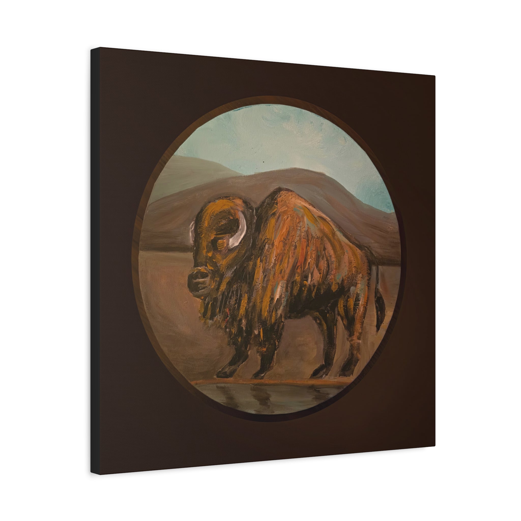 on the range / Buffalo Canvas Print