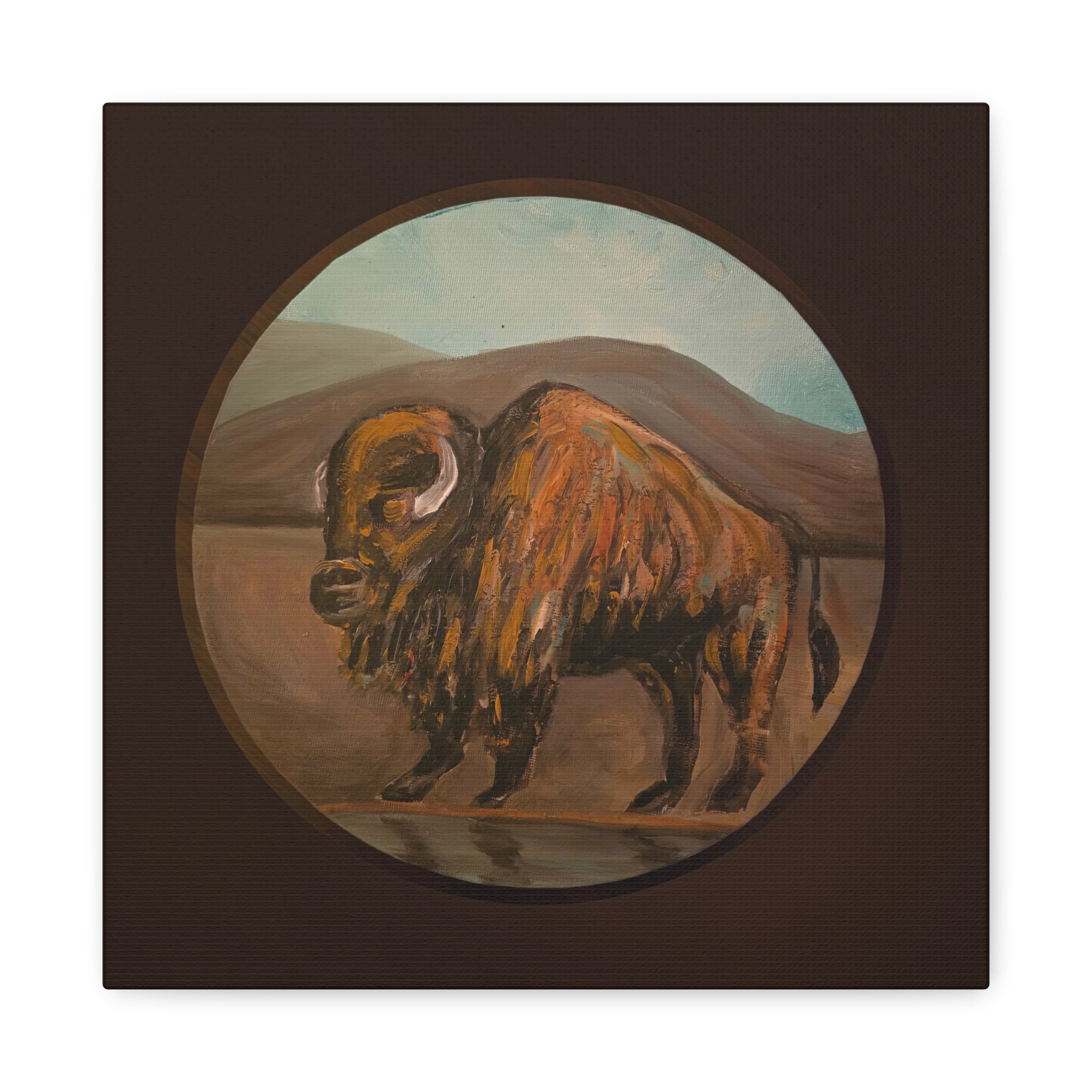 on the range / Buffalo Canvas Print