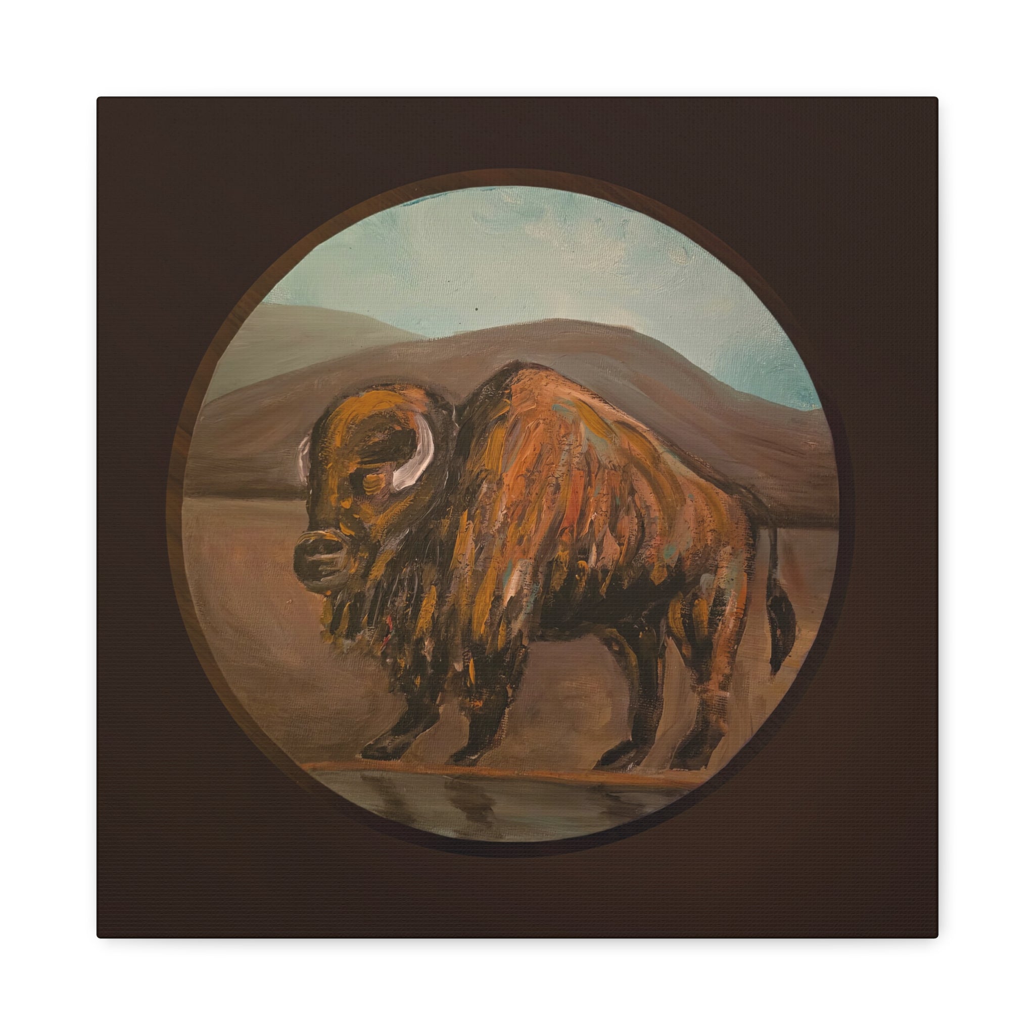 on the range / Buffalo Canvas Print