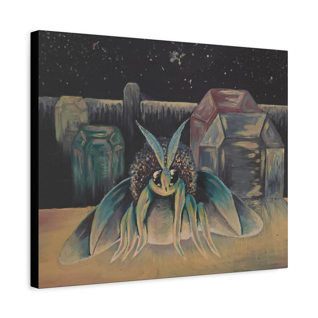 nightscape / Poodle Moth Nightscape Canvas Print
