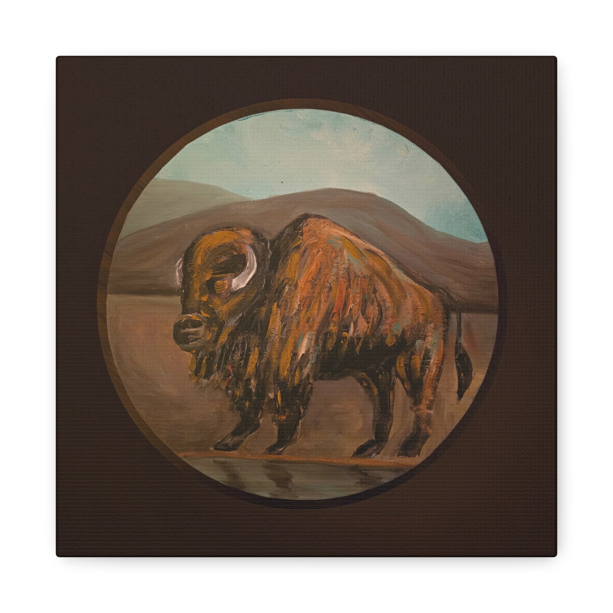 on the range / Buffalo Canvas Print