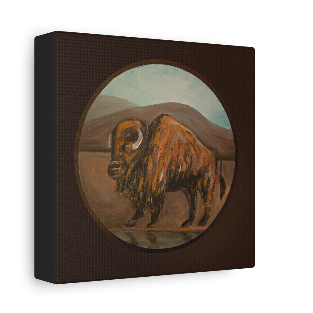 on the range / Buffalo Canvas Print