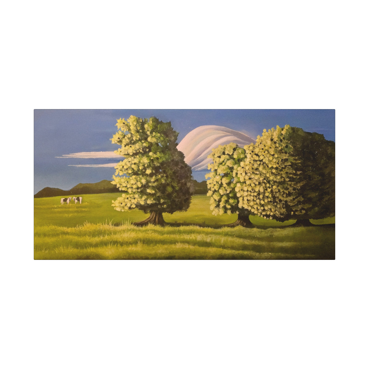 Right Here —— Cows in a Field Canvas Print
