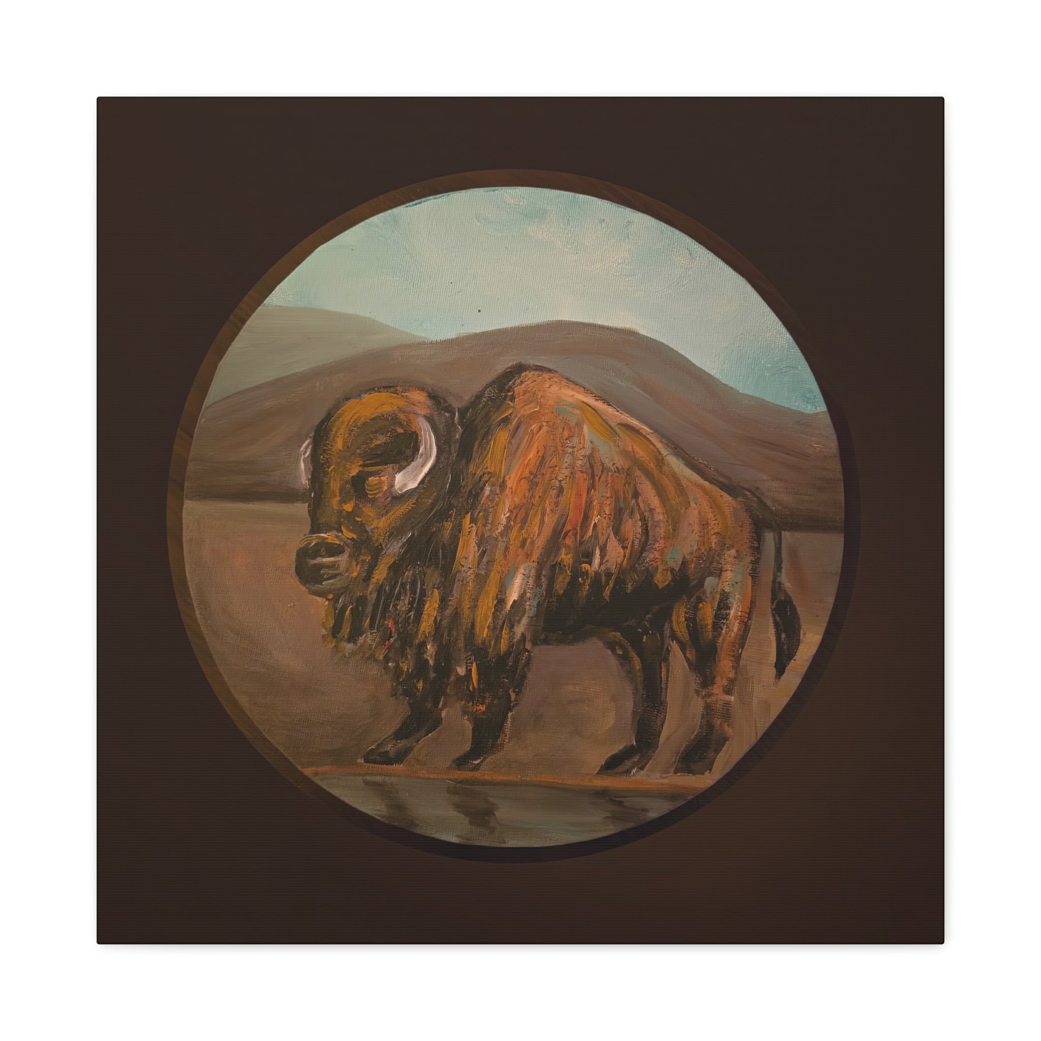 on the range / Buffalo Canvas Print