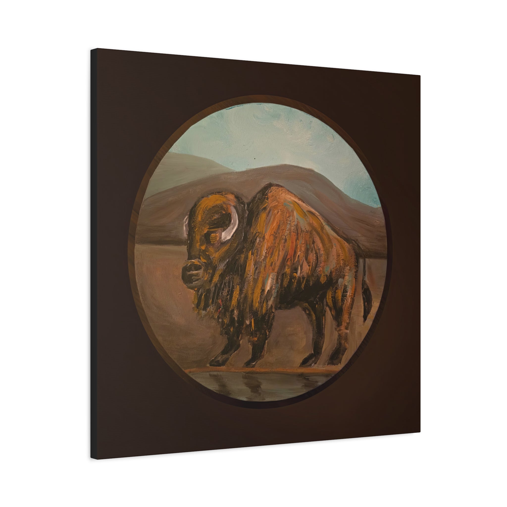 on the range / Buffalo Canvas Print